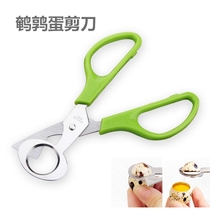 Stainless steel quail egg scissors Birds egg scissors Egg Cutters Cut the eggbeware Bird Eggs Cutter