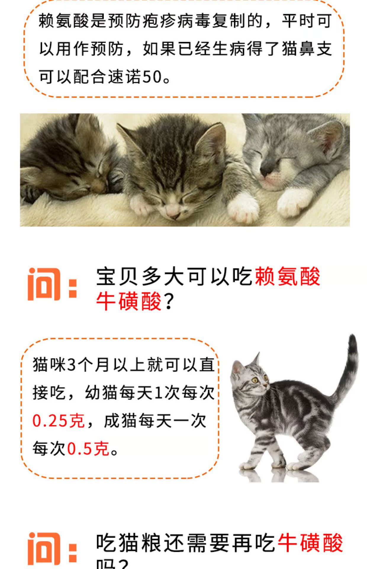 Cat Lysine Taurine Nasm Ammonia Powder Amino Acid Cat Amine lăn hắt hơi 200g - Cat / Dog Health bổ sung 	sữa cho mèo uống	