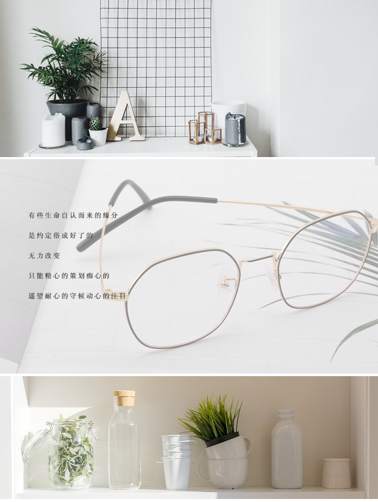 Montures de lunettes en Alliage de titane - Ref 3140895 Image 8