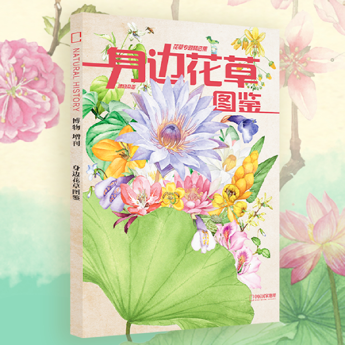 身の回りの花や植物のイラスト、博物館雑誌、花と植物の特別コレクション、博物館付録、ギフト、中国ナショナルジオグラフィック旗艦店
