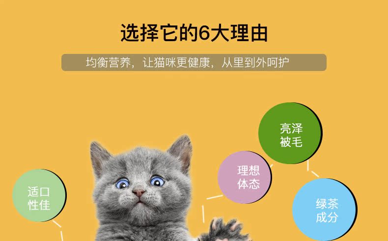 Lễ hội mực Inabao Gà mực Hương vị 25g Cá biển Đại dương Đồ ăn nhẹ Thức ăn ướt Gói tươi Pet Pet Snacks mèo ăn hạt có tốt không