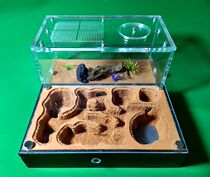 Falling Snow Ant Castle M Double Water Tower Workshop Ant Farm Ant Empire Birthday Gift
