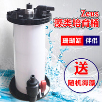Sea tank low algae and high algae cultivation barrel KRAKEN Zeus God barrel