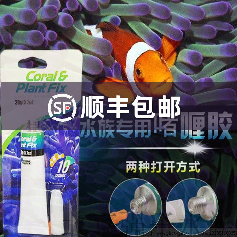 P - brand coral glue SPS glue LPS glue under the water sticky Alumph coral glue