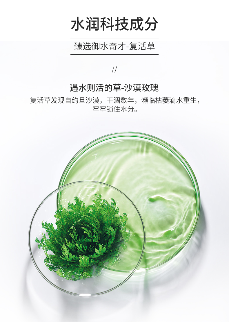 Snow Lingqi Resurrection Cỏ Mặt nạ ngủ Nữ Hydrating Làm sạch Mud Phim Làm sạch lỗ chân lông Làm sạch sâu Đàn ông Chính hãng mặt nạ mắt