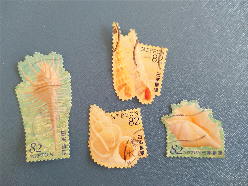 Philately Collections Handbooks Japan Cartoon Marine Shells Special-pin stamps 4 groups Real pictures