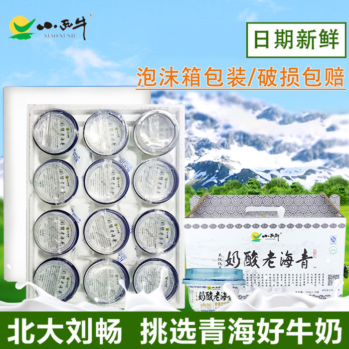 Foam Box Shipping Qinghai T Produce Small Western Cow Qinghai Original Flavor Old Yogurt 12 Bowl Whole Box Probiotic Yoghurt