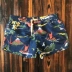 Quần đi biển quần lửng nam in nhanh khô năm điểm quần short boxer size lớn quần short mùa xuân nữ - Quần bãi biển quần áo đi biển nữ Quần bãi biển