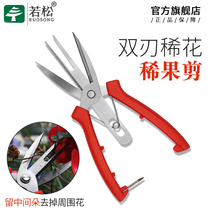 Ruosong double-edged fruit-picking scissors dual-purpose citrus fruit cutter household fruit tree scissors grape fruit scissors