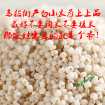Han Tungngdung Mi Man Yula Street Town Beijing City 5 kg North - East Bangjilin City 2500g