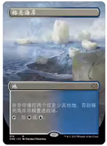 Magic: The Gathering Chrome Coast Simplified Chinese Different Paintings All Worlds Are Unified Land