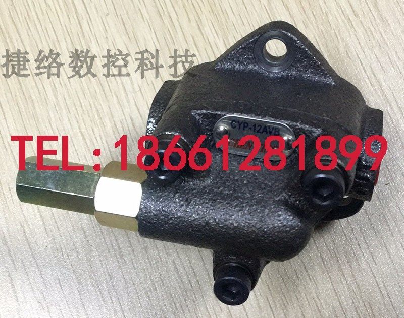 CHENYING Taiwan Zhenrong triangle pump motor pump oil pump pressure regulating valve CYP-12AVB-13AVB