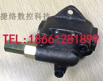 CHENYING Taiwan Zhenrong Triangle pump motor pumped to oil pump pressure regulation valve CYP-12AVB-13AVB