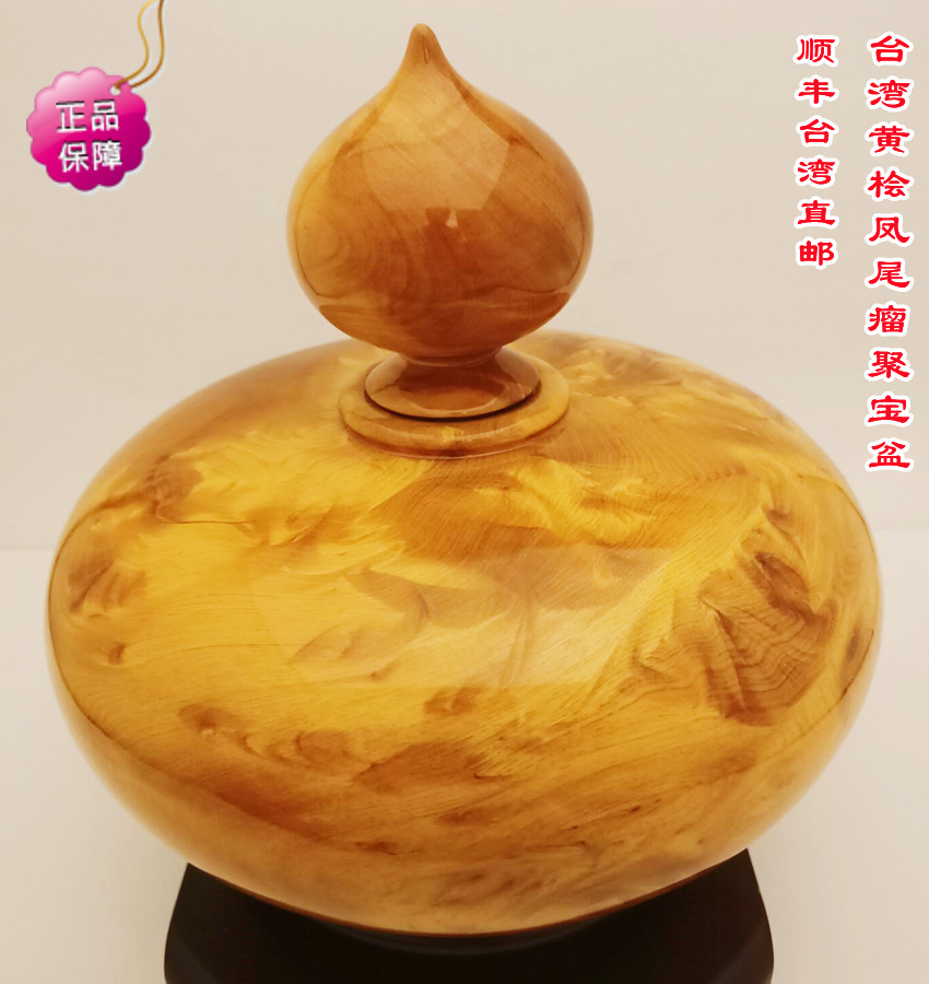桧木聚宝盆瘤花凤尾瘤居家摆件观赏送礼收藏精品保值台湾直邮包邮