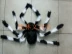 Halloween cung cấp đạo cụ thanh trang trí bông nhện - nhện đen sang trọng hoa nhện mạng nhện - Sản phẩm Đảng / Magic / Hiệu suất