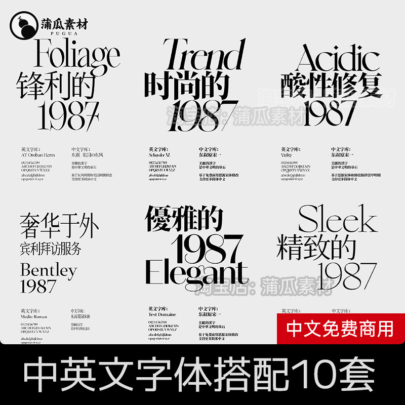 Скачайте бесплатный пакет коммерческих шрифтов Acid font library с китайскими и английскими шрифтами с засечками для Ps/Pr/Ai/Procreate Изображение 1