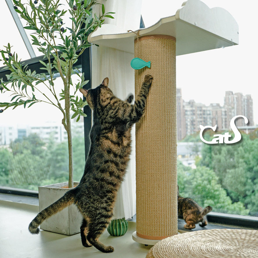 🐱家居新宠!CatS猫家具迷你看鸟台剑麻猫抓柱飘窗吸盘不占地猫抓板猫爬架一体-猫爬架-淘宝好物网