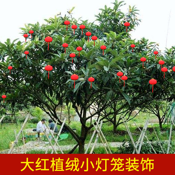 New Year decoration flocking small lantern hanging New Year indoor bonsai outdoor festive decoration red lantern pendant