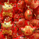 2021 Новогодний день Fish Fu Blessing Firecrackers String Новый год.