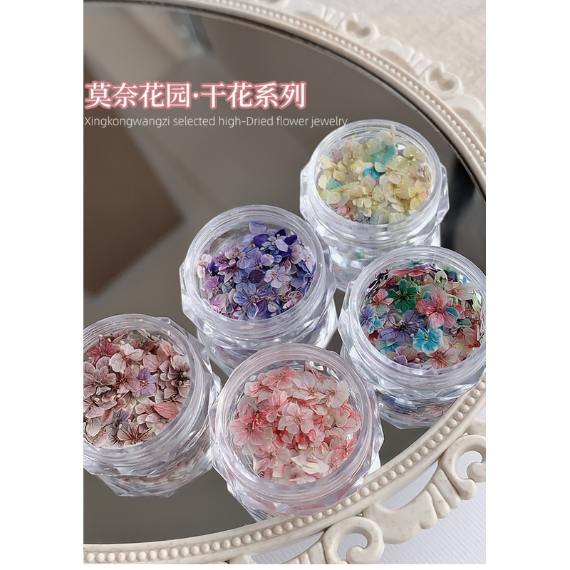 Nail Art Materials Dried Flower Stickers Monet Garden Mini Five-Petal Flower Materials Purple Small Floral DIY Nail Decorations