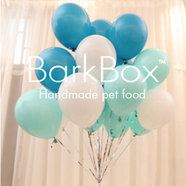 pet birthday party balloons pet birthday decoration balloons