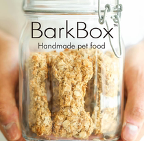 BarkBox Pet Biscuits Beef Oatmeal Energy Bar Pet Rewards Pet Handmade Treats 300g