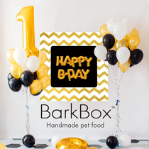 Pet birthday party Happy birthday background cloth floating balloons