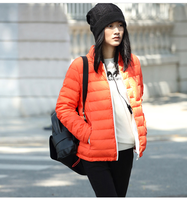 11531240- (12).jpg