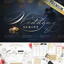 Fashion elegant wedding handwriting art English font LOGO watermark PS font design material FT249]