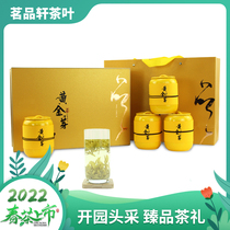 2022 New green tea Liyang Tianmu Lake Baitea Golden Sprout Open Garden Head Picking 250 gr High-end Porcelain Jar Tea Ceremony