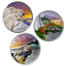 Canadian Fox Hunter Sea Otter 1 ounce of color memorial silver coin set in 2019