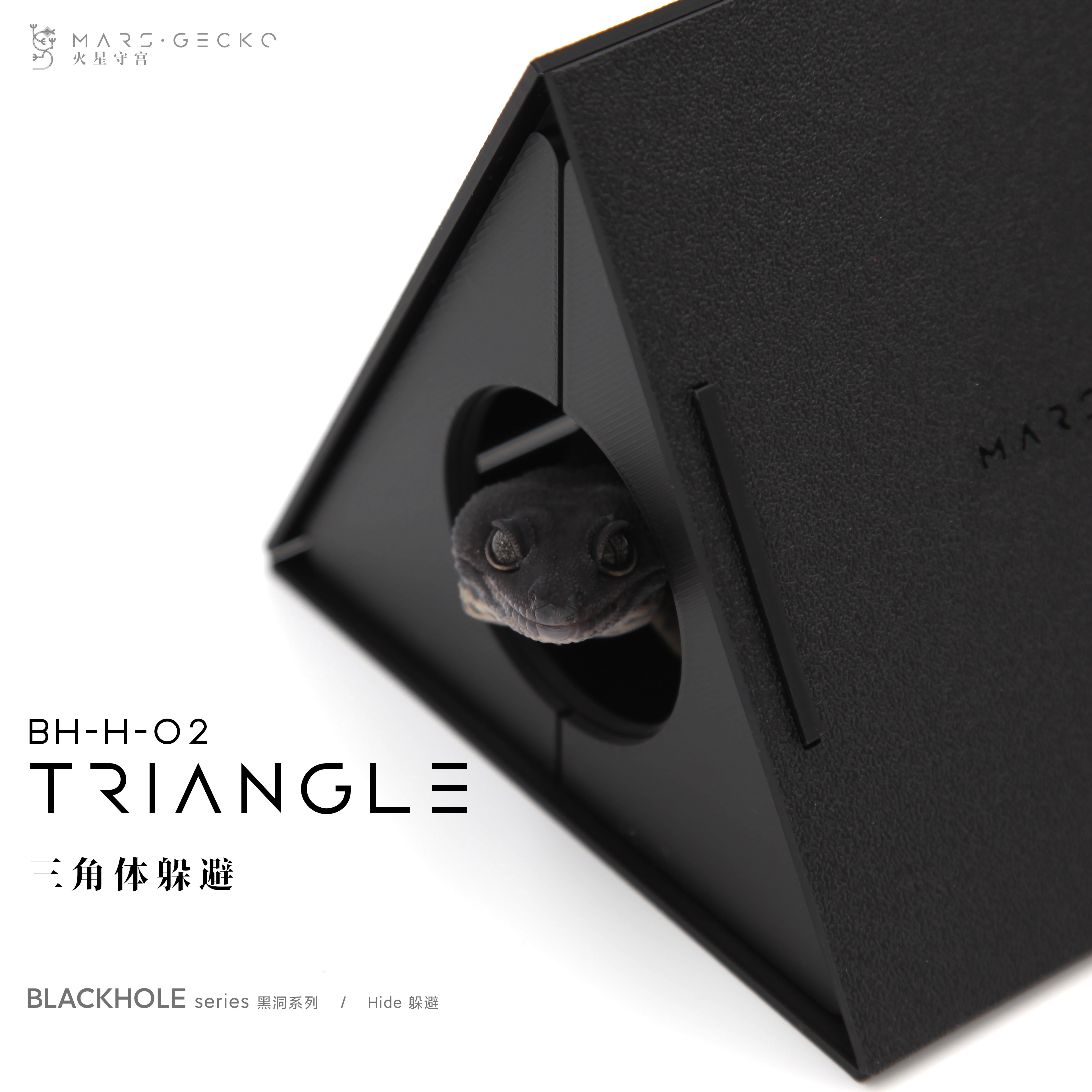 Triangle三角体躲避：给你的爬宠守宫一个安全的家！-守宫蜥蜴
