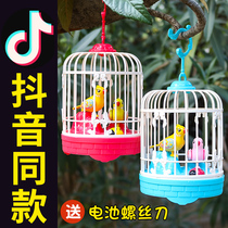 Childrens Birdcage toy voice control simulation with bird birds and birds shaking sound with the same boy 3 years old 2-1 three 4 babies 5 a girl