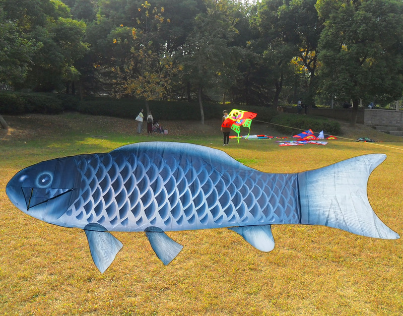 2021 new 3D net red emulation large carp red gold dragon fish adult professional easy to fly Weifang kite