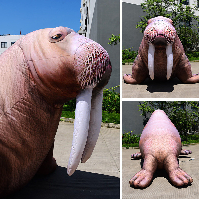 Walrus inflatable cartoon outdoor decoration simulation animal inflatable corporate mascot advertising campaign custom rainbow door