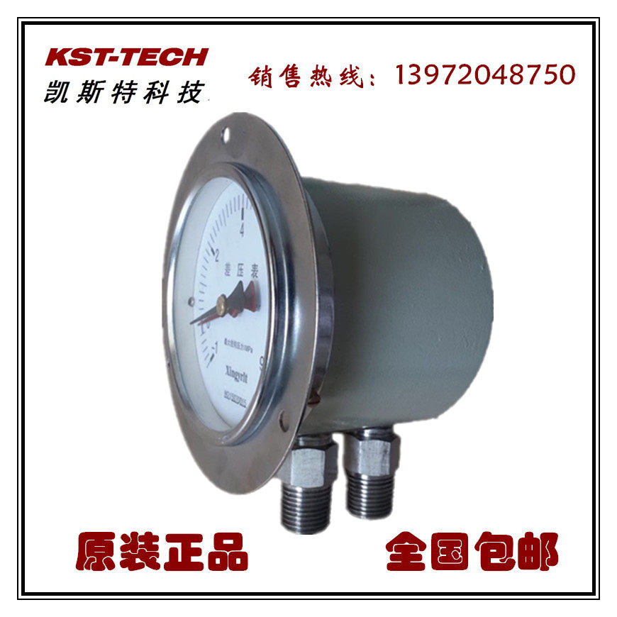 Kester meter manufacturer direct sales supply differential pressure stainless steel double needle double tube pressure meter TCMF series