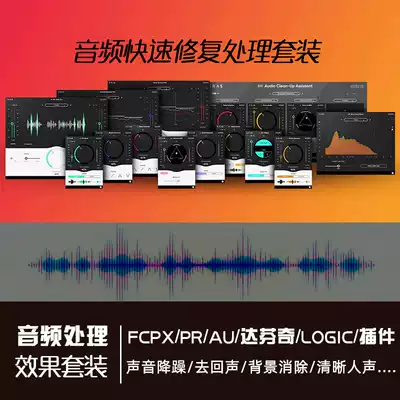 FCPX PR Au da Vinci Logic plug-in audio sound narration noise reduction noise cancellation echo mixer