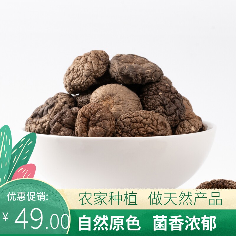 Money Mushrooms 250 gr hands pick small mushrooms with a strong scent of meat