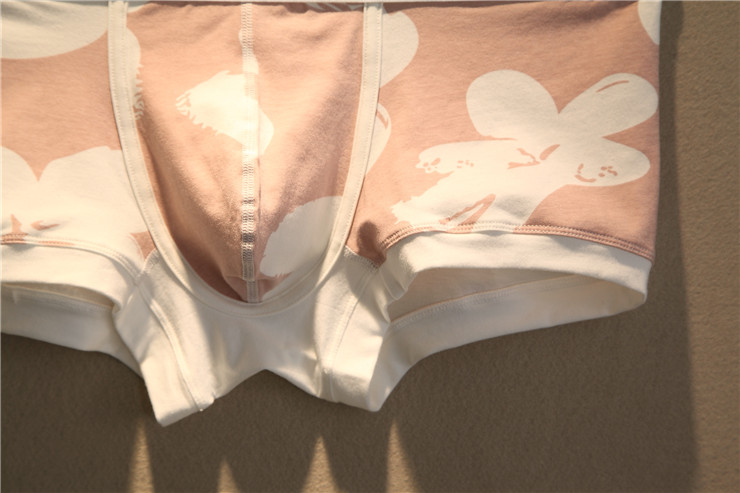 2 quần lót nam thời trang gợi cảm cotton thấp eo boyshort thanh niên thoáng khí thể thao nam quần boxer sịp nam