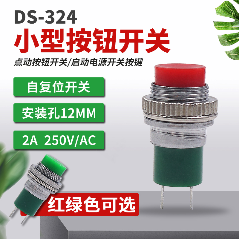 SMALL self-reset switch 2-pin JOG button power switch electronic switch DS324 red green 12MM hole