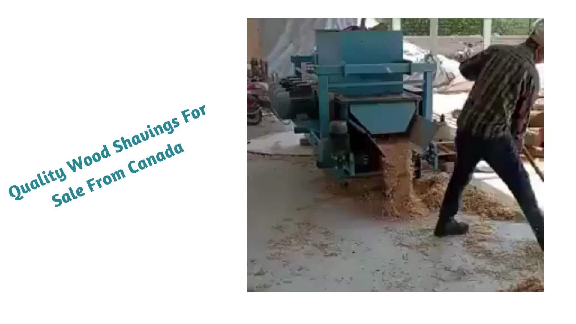 Pine Wood Shavings For Sale Buy Quality Wood Shaving Agricultural