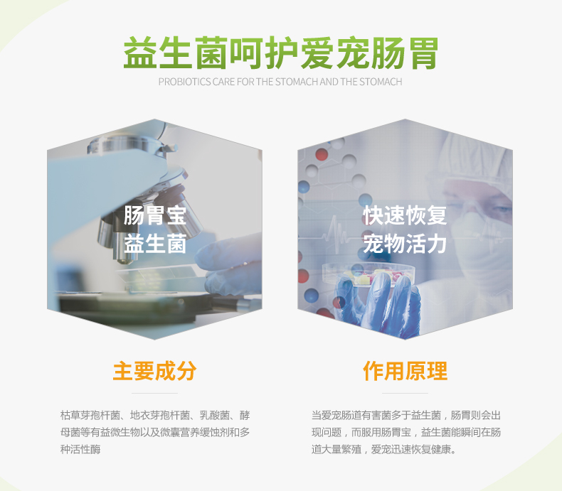 2 giảm giá chó cưng nhỏ dạ dày kho báu men vi sinh 10 bao bì điều hòa viêm dạ dày ruột tiêu chảy - Cat / Dog Health bổ sung sữa bio cho mèo