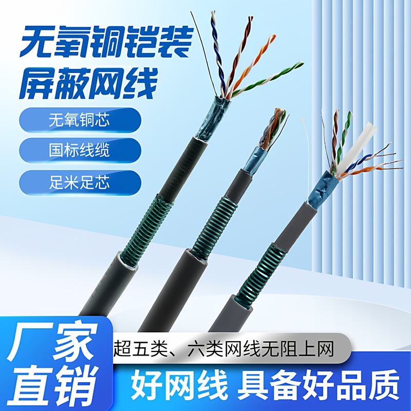 Anti-Rat Bite Armored Network Cable, Shielded Category 5E Outdoor Category 6 Armored Network Cable, Broadband Cable, Outdoor, Can Be Buried Underground