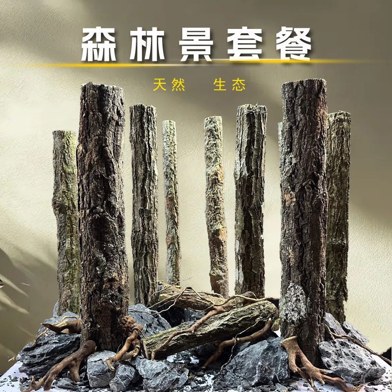 Song of the Jungle Forest Aquarium Aquatic Plant Tank Landscaping Champagne Wood Fir Tree Turtle Tank Rhododendron Root Rainforest Tank Aquatic and Terrestrial Song of the Jungle Forest Aquarium Aquatic Plant Tank Landscaping Champagne Wood Fir Tree Turtle Tank Rhododendron Root Rainforest Tank Aquatic and Terrestrial