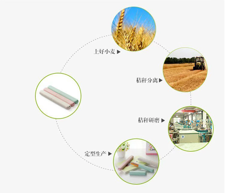 Du lịch kinh doanh lúa mì sáng tạo hộp bàn chải đánh răng đặt rửa cốc cung cấp hộp lưu trữ bàn chải đánh răng với bàn chải đánh răng - Rửa sạch / Chăm sóc vật tư