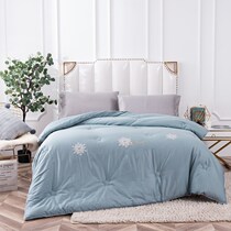 Yi Luo Shell Enshi antibacterial quilt Class A 60 cotton winter quilt cotton warm quilt double thickened quilt core