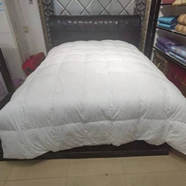 Dream Canada Imports Luxury 95% White goose down by core plums 54495 thickened Winter Warm Quilt 2021