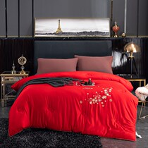 Yiluo silk protein Wedding quilt Wedding quilt Red wedding quilt New wedding quilt core Spring and autumn quilt thickened winter quilt
