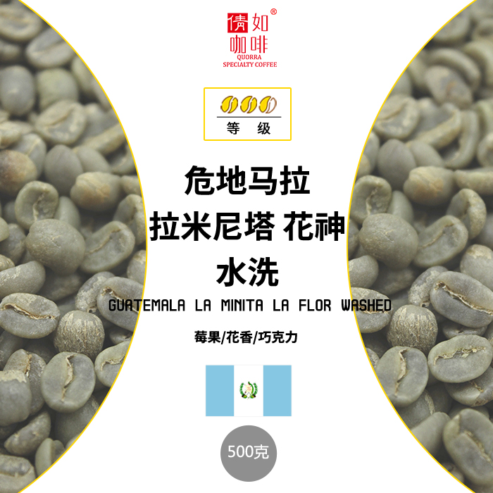 500g Coffee raw beans Guatemala Antigua Raminita flower god washed with florist berries