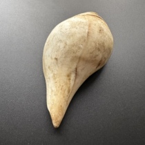 Nepal Tibetan Himalaya ancient conch shell home furnishings decoration pendant Qibao pendant cultural toy w